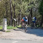 O Xeitoso O Milladoiro
