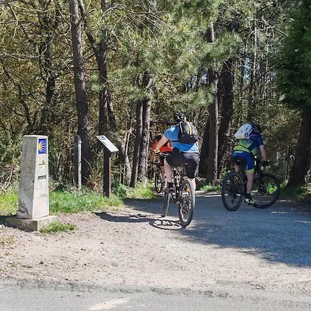 O Xeitoso O Milladoiro